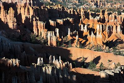 Bryce Canyon : Utah : Landscape Photos : Richard Moore : Photographer